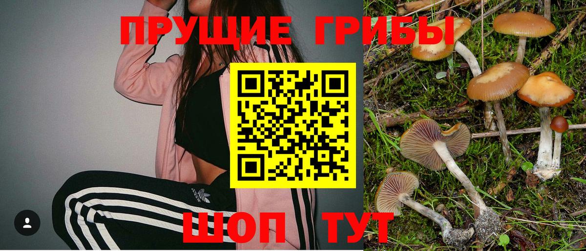 Галлюциногенные грибы мухоморы Донецк
